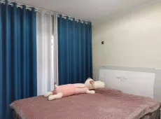 成武县|顺驰苑2室1厅1卫出售