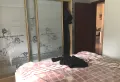小多层电梯坡地洋房 兴发大盘 学校门口 交通便利7