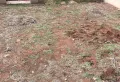 世纪新城洋 房底复带院带车库9