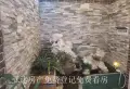 离梦想很近 实现舒适3室2厅2卫1阳台 体验奢华生活6