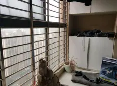 颍州区|金悦时代3室2厅1卫出售