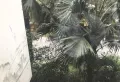 周边配套设施齐全,性价比超高玉柴博望园15