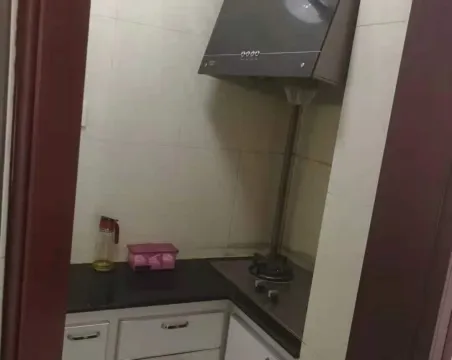 龙族峰景花园1室1厅1卫朝西精装