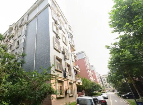 藏龙新城一期-江夏区藏龙岛湖北省武汉市江夏区江夏区经济开发区藏龙岛街道藏龙新城小区