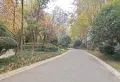 三江国际丽城 证满，自住大三室 送入户花园14