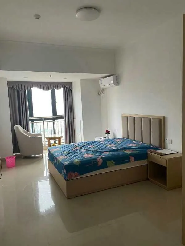 雁城国际公馆，一室一厅，拎包入住，家电齐全