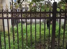 吉首市|御香山3室2厅2卫出售