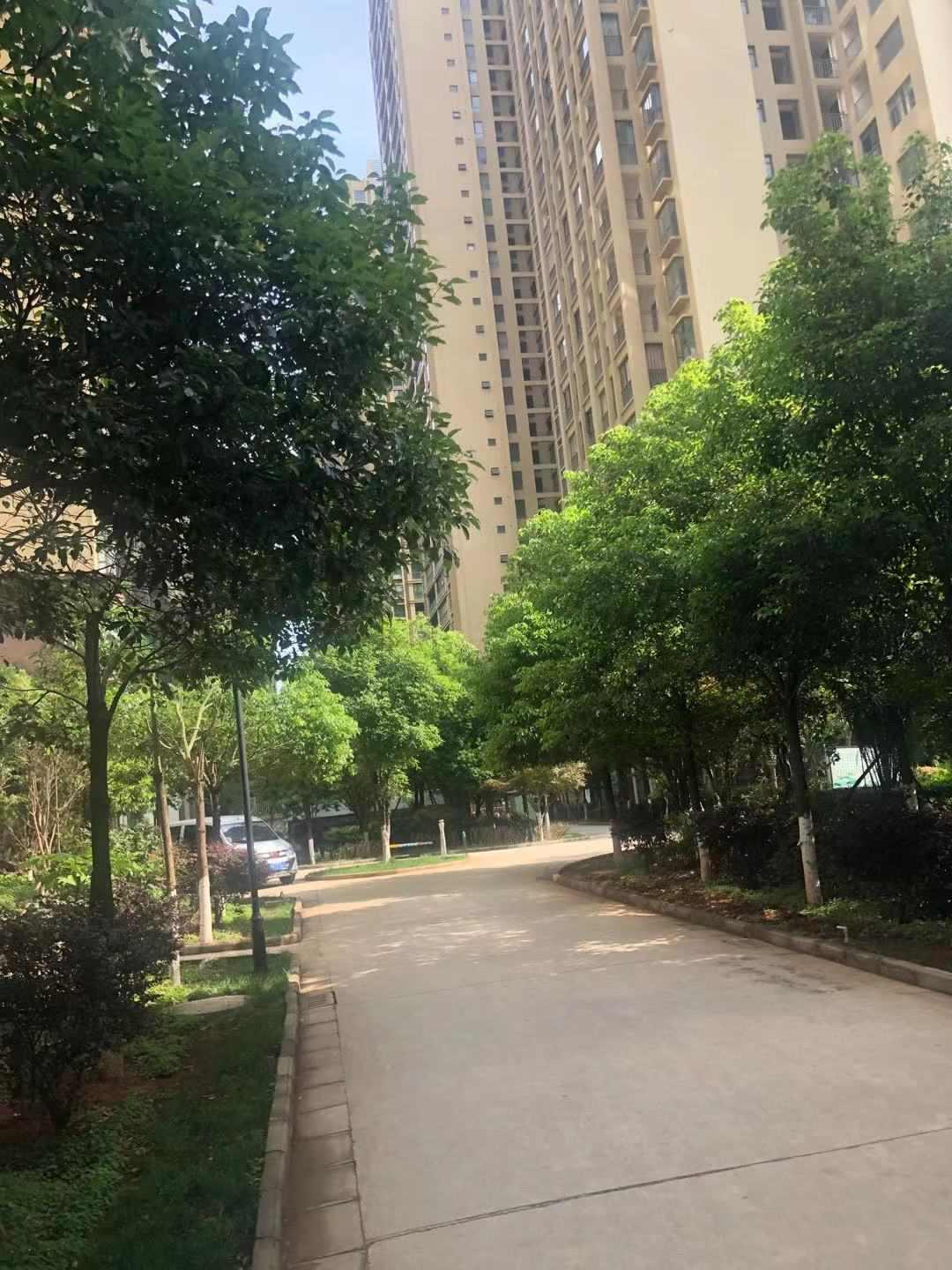 左邻丽景小区图片