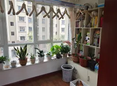 伊宁市|梧桐丽景C区香郁苑2室2厅1卫出售|买房租房佣金全返