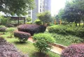 西片区都市森邻135㎡4室2厅2卫2阳台毛坯南北，好房出售13