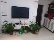 濉溪县|玉兰花城2室1厅1卫出售