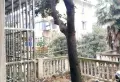 金口岭村 精装三房 产证全8