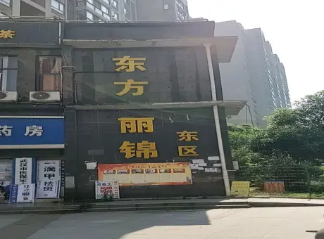 东方丽锦-青山区友谊大道工业三路与友谊大道交汇处