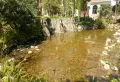 坤城132平米，三室两厅两卫，房东诚心出售18