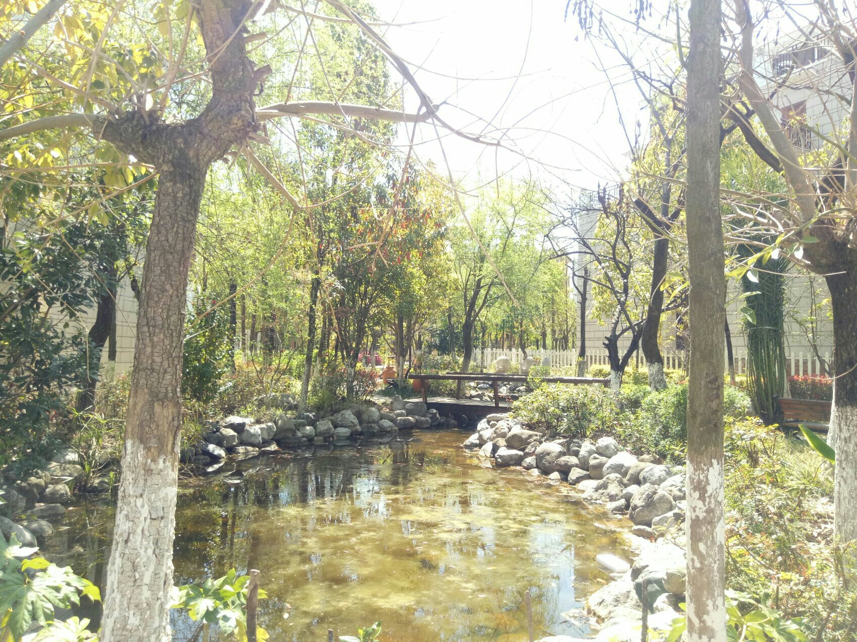 南疆坤城,坤城132平米，三室两厅两卫，房东诚心出售17