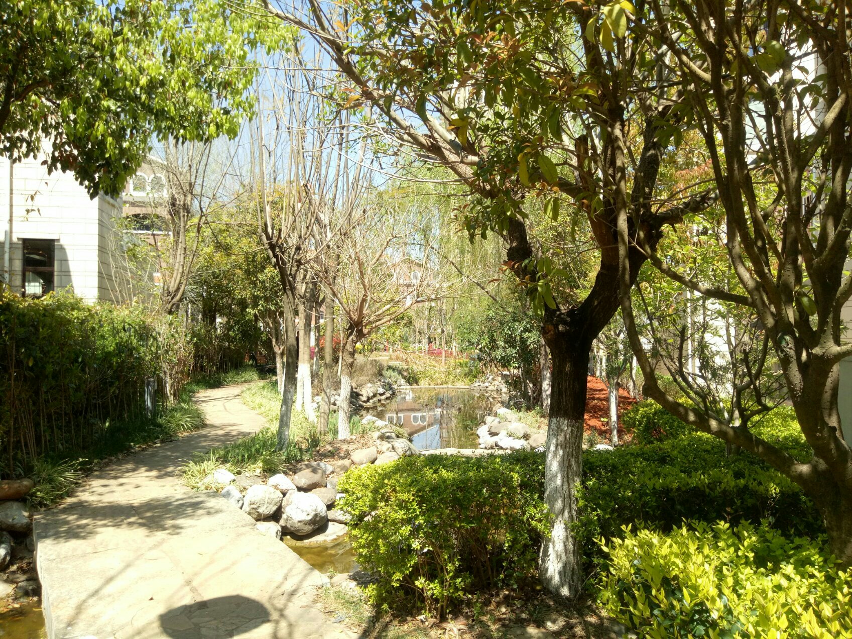 南疆坤城,坤城132平米，三室两厅两卫，房东诚心出售19