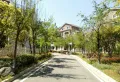 坤城132平米，三室两厅两卫，房东诚心出售23