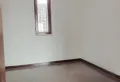 后现代主义年轻人的选择!经典保利金香槟4