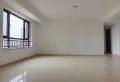 后现代主义年轻人的选择!经典保利金香槟8