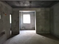 迎江区|滨江至尊3室2厅2卫出售