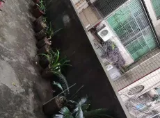 资兴市|龙泉头小区3室2厅1卫出售|买房租房佣金全返