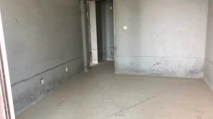 新出绿地璀璨天地两室南北通透