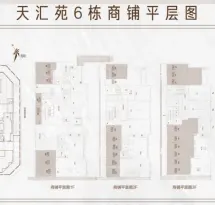 保利天际（商铺）户型信息10