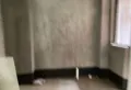 御景东方 南向毛坯三房，楼 王栋8
