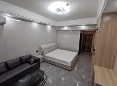 宁乡县|瑞景春天1室1厅1卫出售