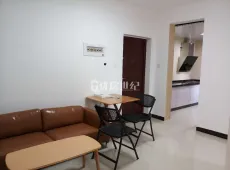 东侨区|碧城云庭3室1厅1卫出租