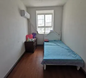 颍东区-城东-三角洲安置区