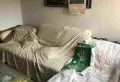 凤城园九区3室2厅1卫7