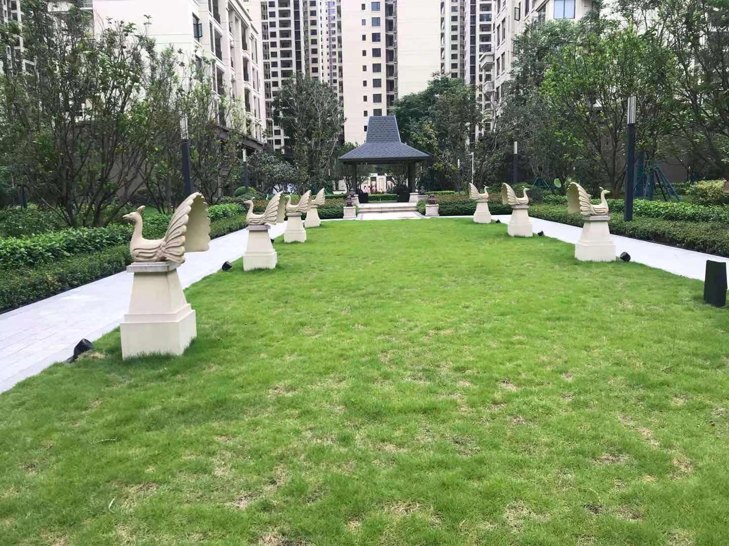 蓝光星星国际小区图片