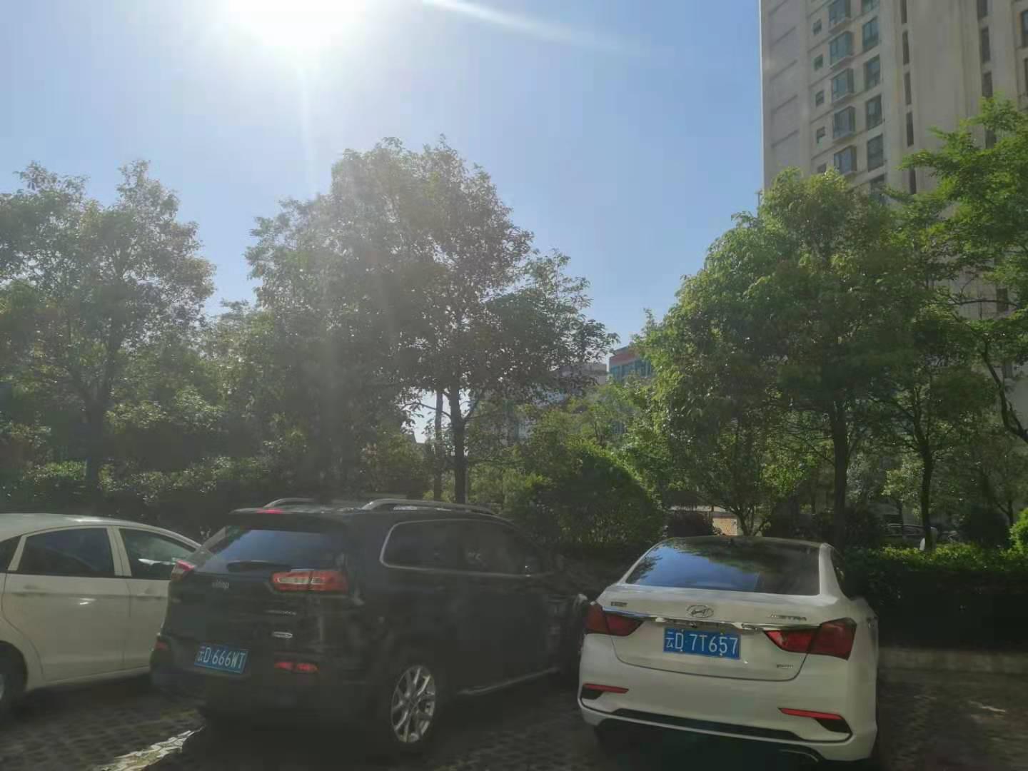 麒麟区城中豪装3室2厅1卫二手房出售11