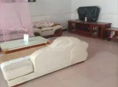罗山县|上马园3间屋一宅一院4室2厅2卫出售