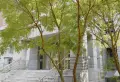 星河185小区图片15