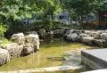 星河185小区图片5
