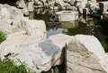 星河185小区图片10