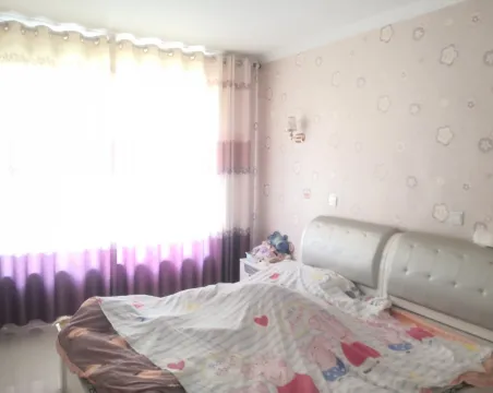 地中海阳光3室2厅2卫朝南北精装