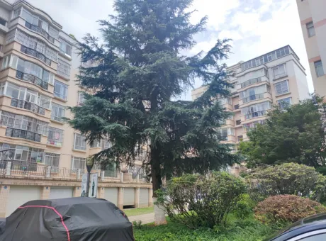 西苑小区一期柳苑-麒麟区西片区西苑小区一期柳苑