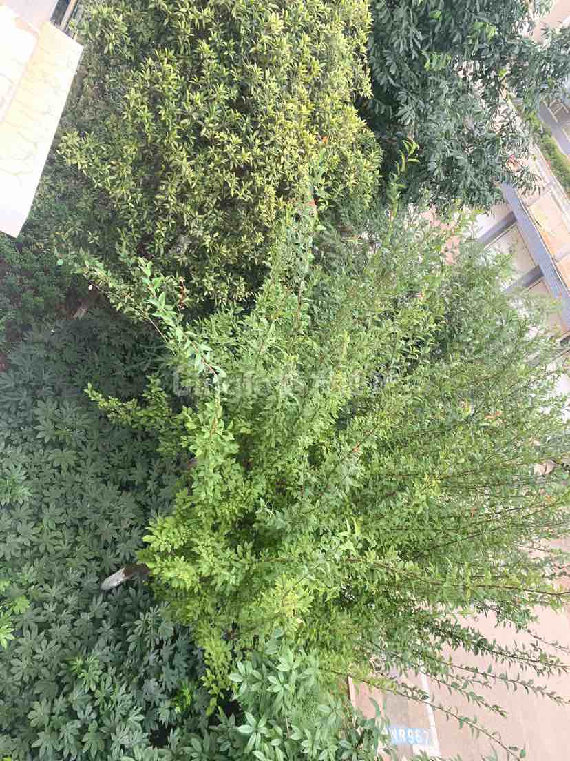 麒麟区东片区精装5室2厅2卫二手房出售16