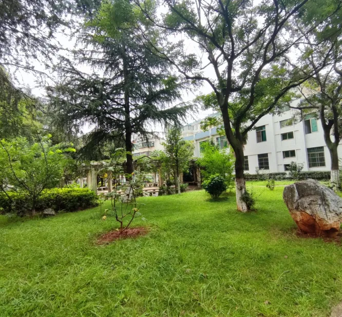 珠江花园小区图片7