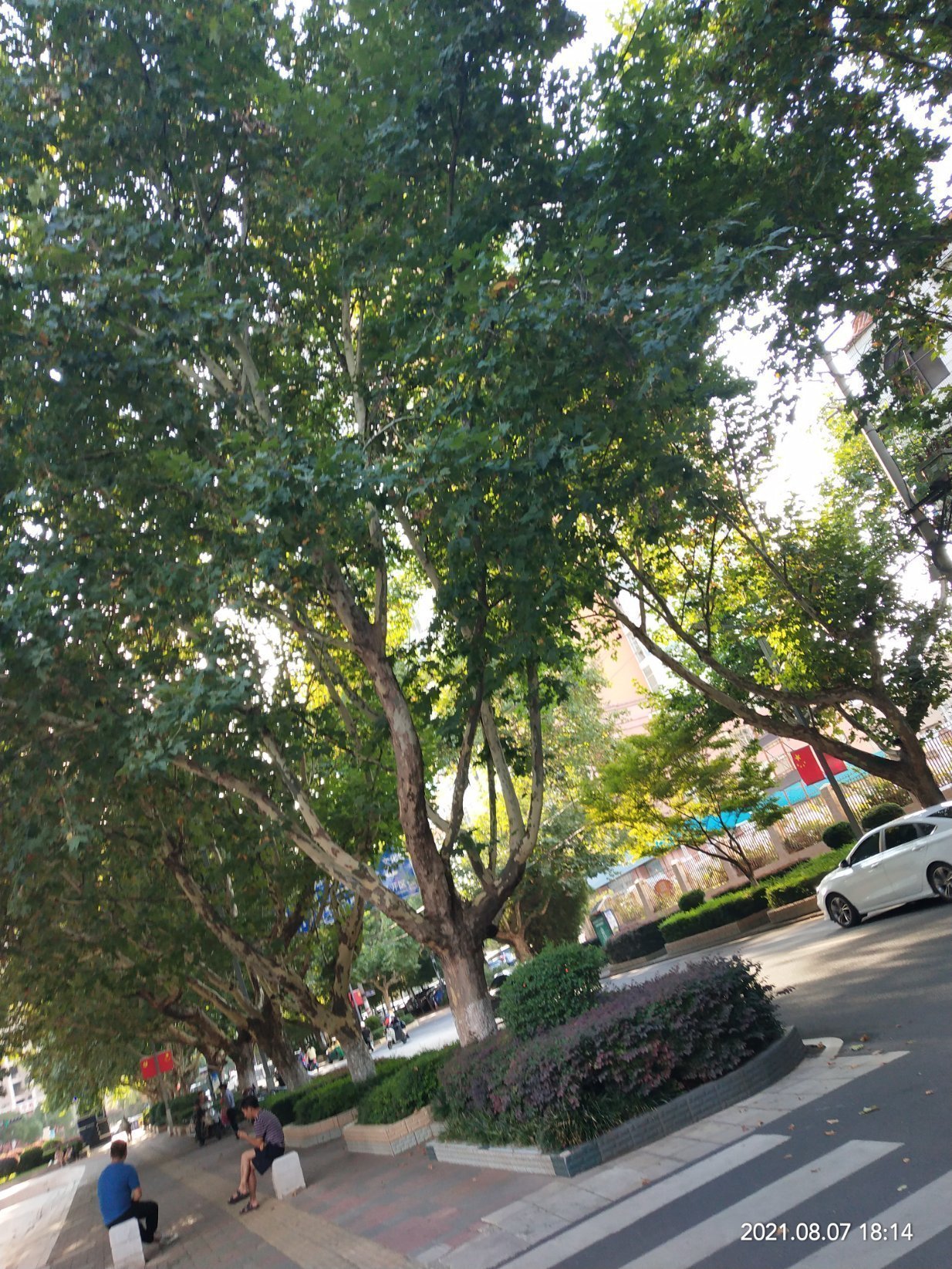 麒麟区城中精装3室2厅1卫二手房出售12