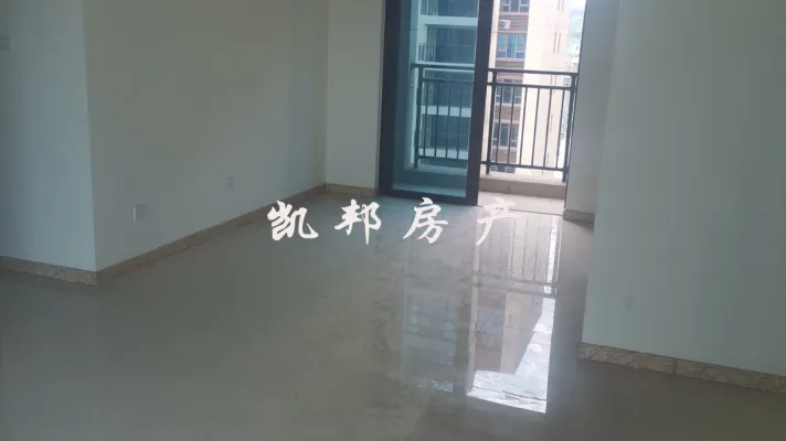 真正的地铁楼盘，田阳碧桂园精致4室2厅2卫2阳台，