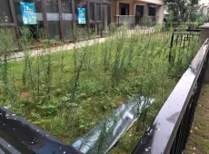 颍东区|同昇玫瑰庄园3室2厅2卫出售