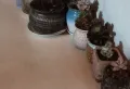 学府中央花园顶楼小公寓，提包入住。小产权。5