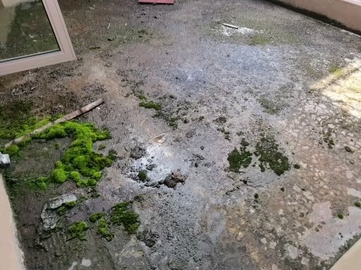 麒麟区西片区毛坯6室3厅4卫二手房出售1