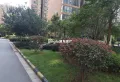 品质小区安厦十五城 交通方便 生活便利15