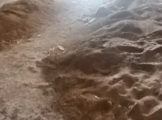 遂川县|山水国际3室2厅2卫出售