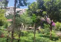 羊煤基地小区图片7